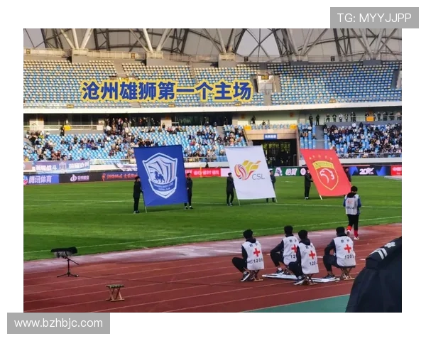 沧州雄狮：传承千年文化与现代技艺的辉煌象征