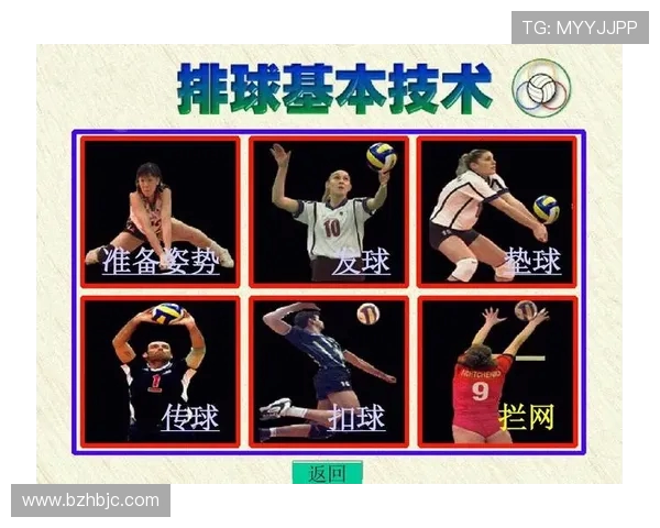 深圳排球队的团队协作与战术配合深度剖析与启示